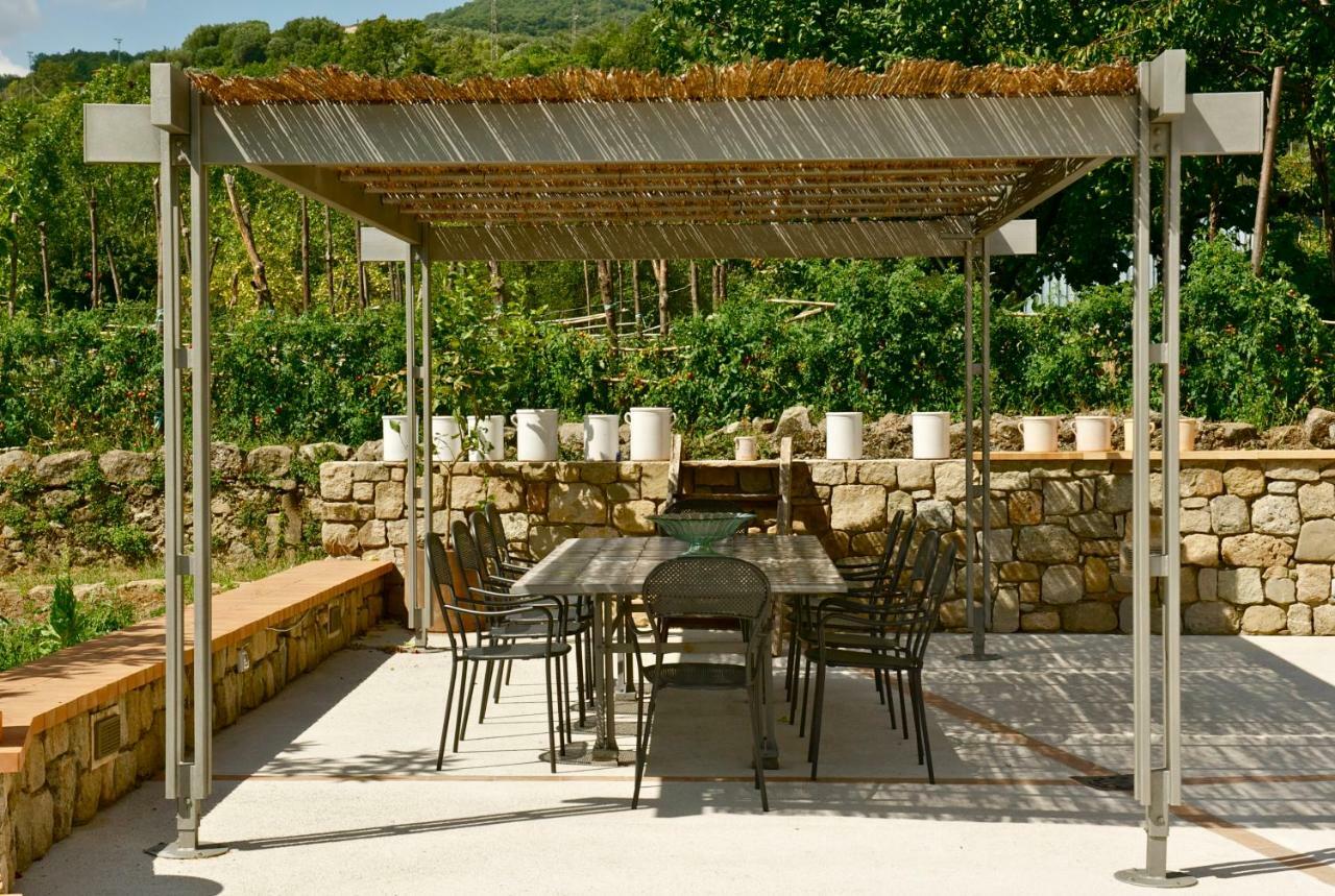 La Casa Di Ester Nel Cilento Angellara Εξωτερικό φωτογραφία